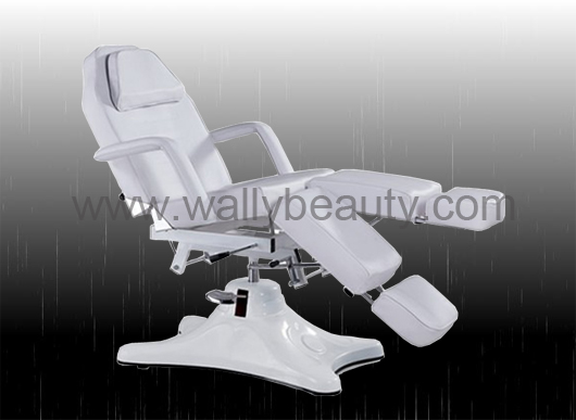 Multi-Function hydraulic salon bed