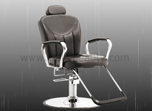 All purpose salon chair